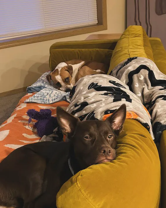 Hannah Pet Hospital 6