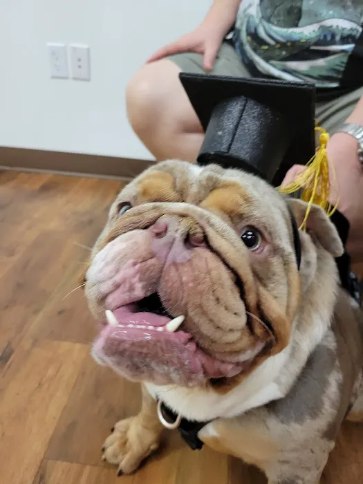 Hannah Pet Hospital 10