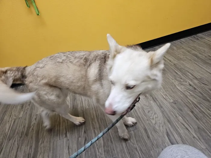 Banfield Pet Hospital 7