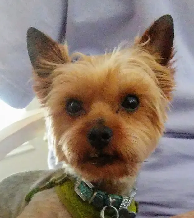 Banfield Pet Hospital 5