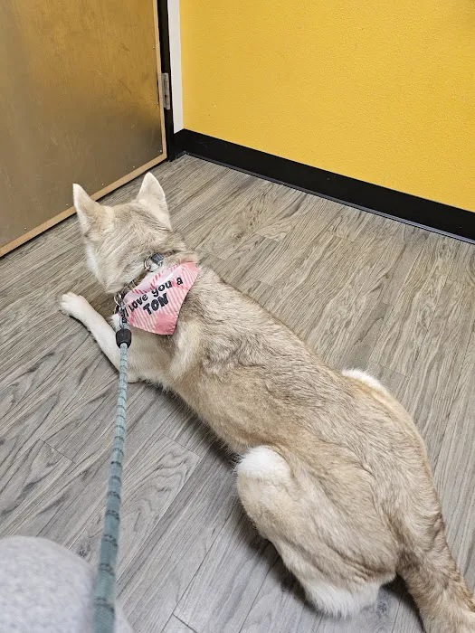 Banfield Pet Hospital 8