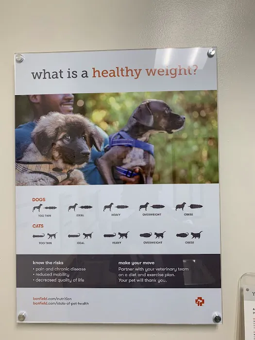 Banfield Pet Hospital 1