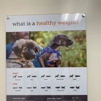 Banfield Pet Hospital ico