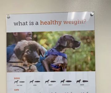 Banfield Pet Hospital