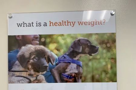 Banfield Pet Hospital