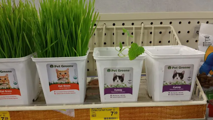Banfield Pet Hospital 8