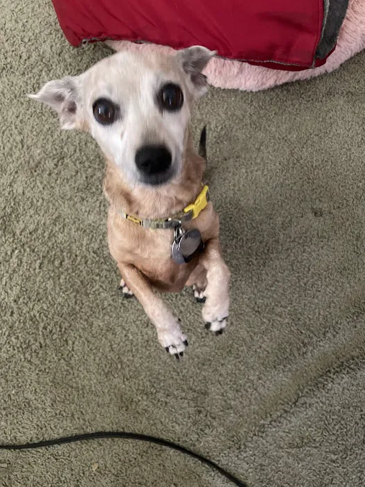 Banfield Pet Hospital 9