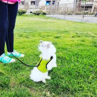 Noah's Ark Animal Hospital ico