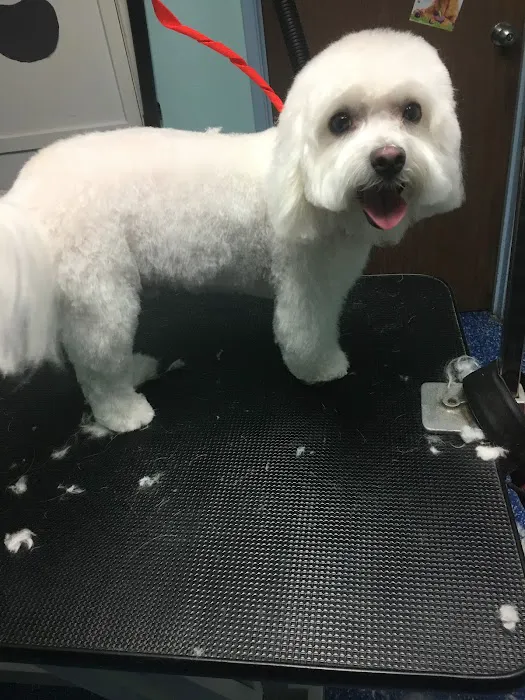 Noah's Ark Animal Hospital 3