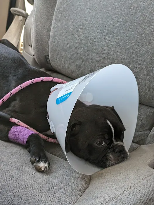 Noah's Ark Animal Hospital 5