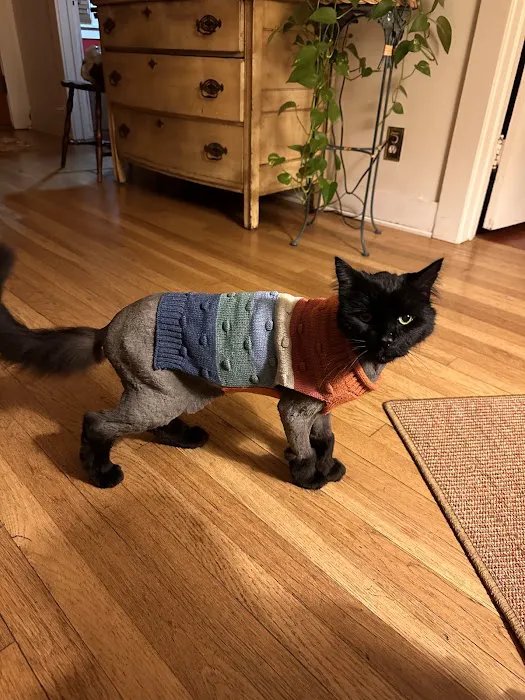 Noah's Ark Animal Hospital 9