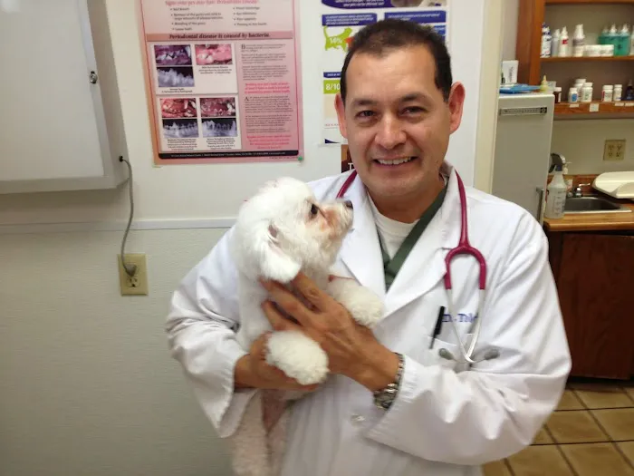 Affordable Animal Hospital 12