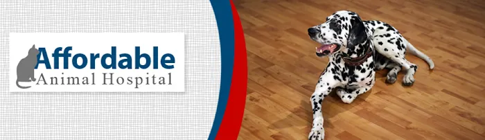 Affordable Animal Hospital 12