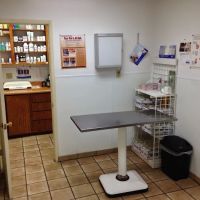 Affordable Animal Hospital ico