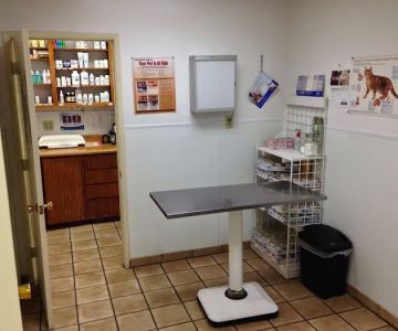 Affordable Animal Hospital