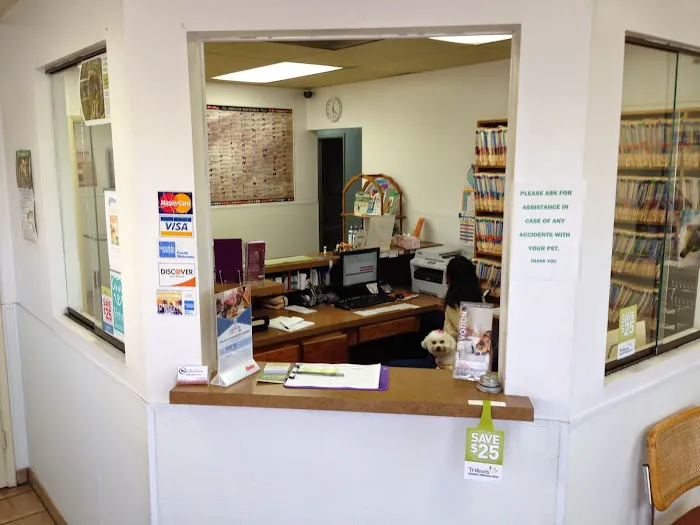 Affordable Animal Hospital 12