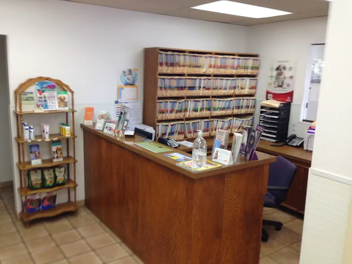Affordable Animal Hospital 12