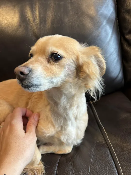 Jet's Pet Hospital 12
