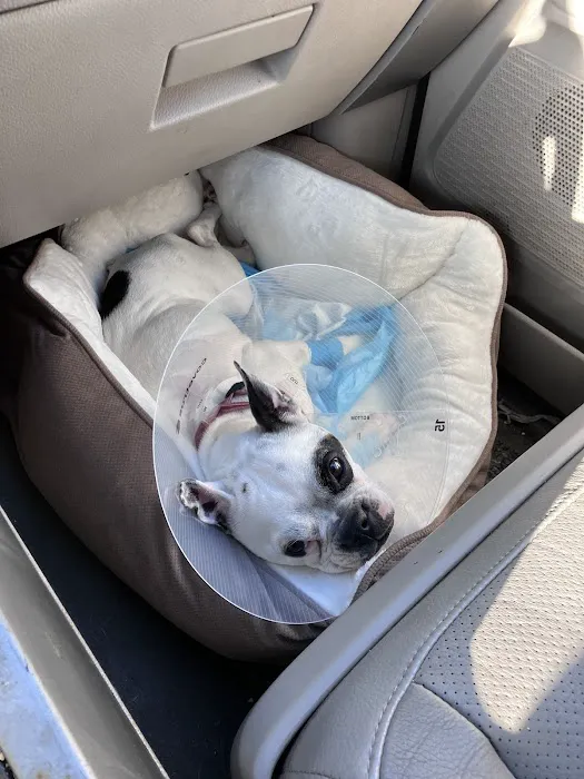 Jet's Pet Hospital 12