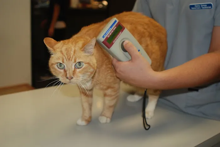 Sunnycrest Animal Care Center 12