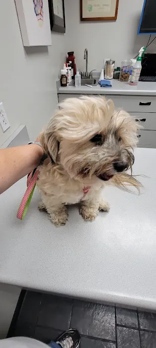 Sunnycrest Animal Care Center 12