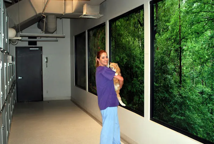 Sunnycrest Animal Care Center 12