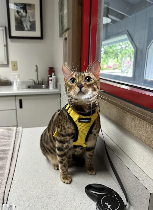 Sunnycrest Animal Care Center 12