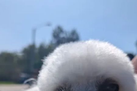 Fullerton Hills Pet Clinic