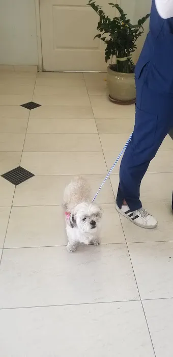 Fullerton Hills Pet Clinic 12