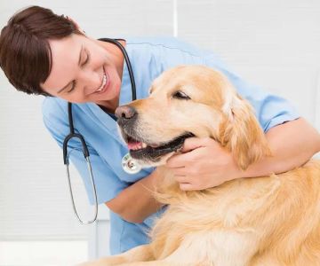 CASE Animal Hospital