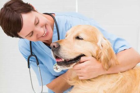 CASE Animal Hospital