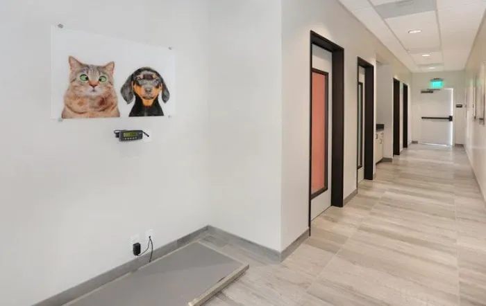 CASE Animal Hospital 12