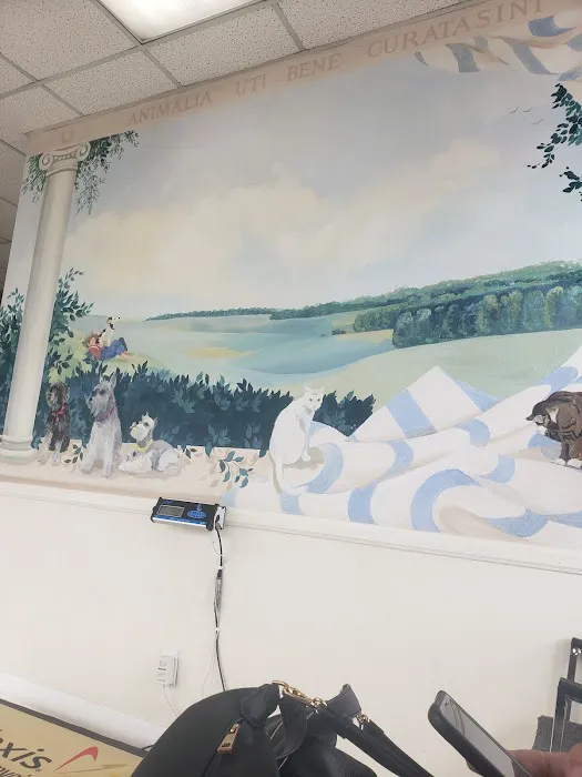 Animal Hospital 12