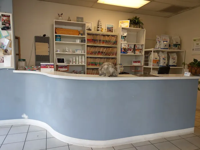 Animal Hospital 12