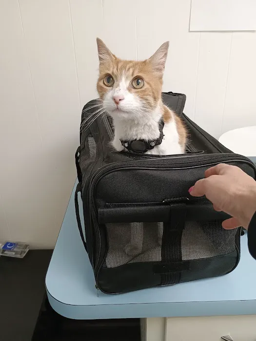 Beach Garfield Veterinary Hospital 12