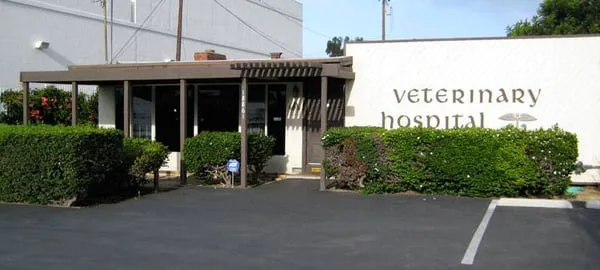 Beach Garfield Veterinary Hospital 12