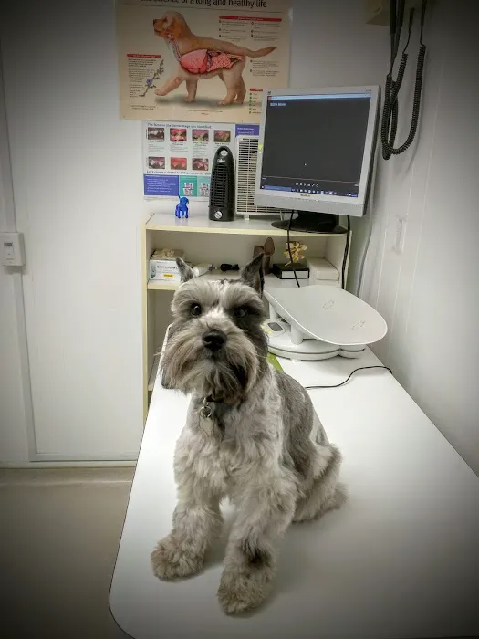 Beach Garfield Veterinary Hospital 12