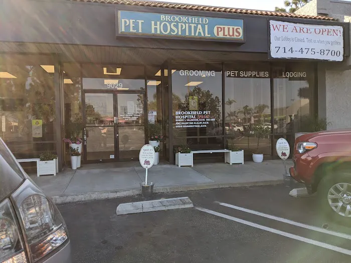 Brookfield Pet Hospital Plus 12