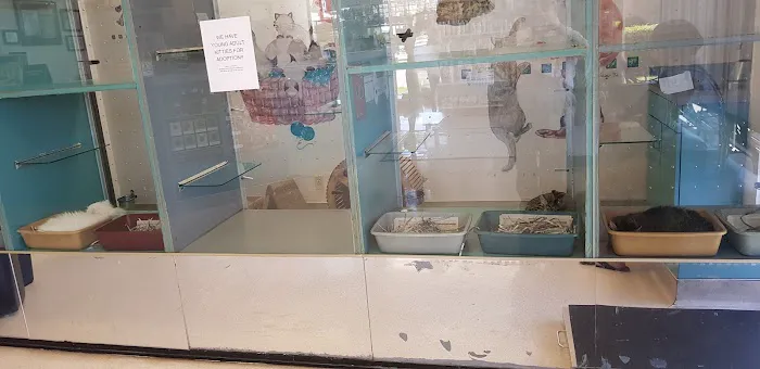 Brookfield Pet Hospital Plus 12