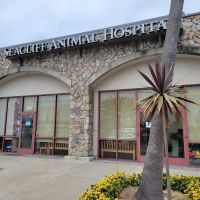Seacliff Animal Hospital ico