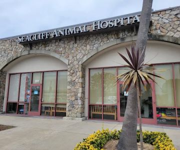 Seacliff Animal Hospital