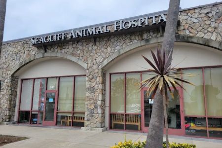 Seacliff Animal Hospital