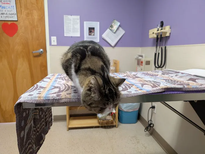 Seacliff Animal Hospital 12