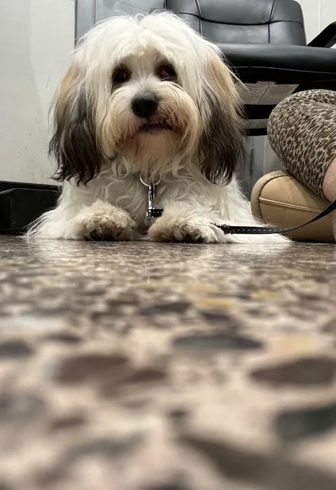 Huntington Beach Veterinary Hospital 12