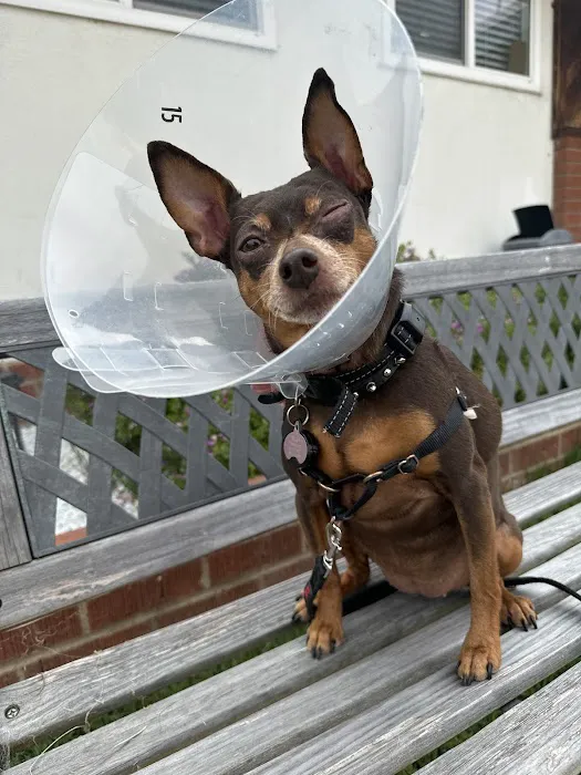Huntington Beach Veterinary Hospital 12