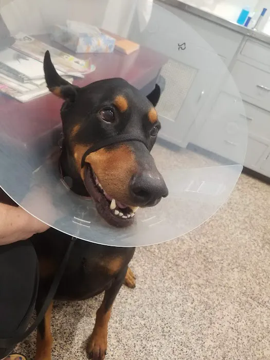 Huntington Beach Veterinary Hospital 12
