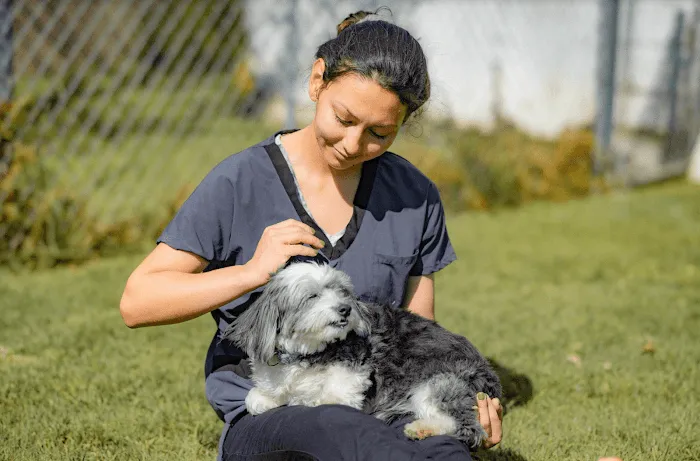 Huntington Beach Veterinary Hospital 12