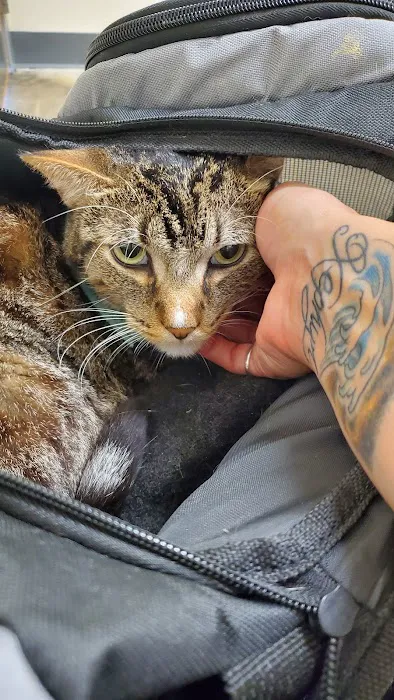 Vetco Total Care Animal Hospital 12