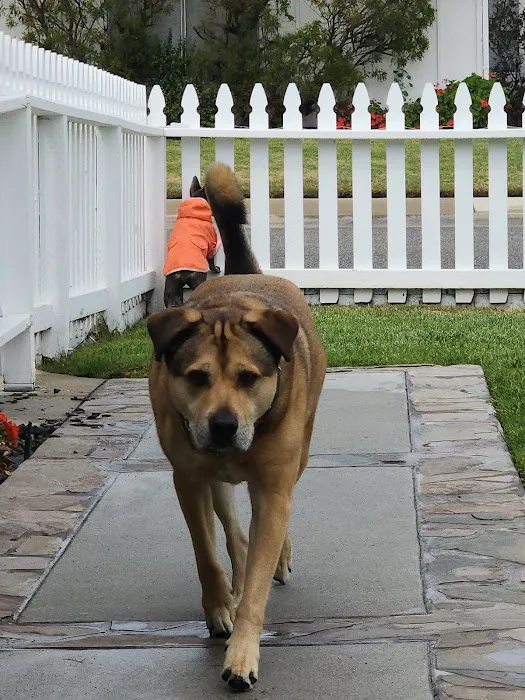 Surf City Pet Hospital 3