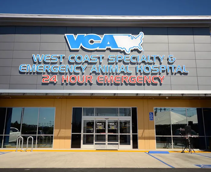 VCA West Coast Specialty and Emergency Animal Hospital 12